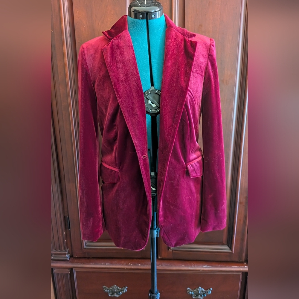 Velvet Blazer in Rich Burgundy